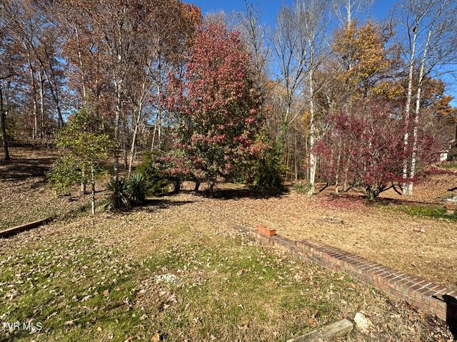 2217 Sheffield Street Street, Kingsport, TN 37660