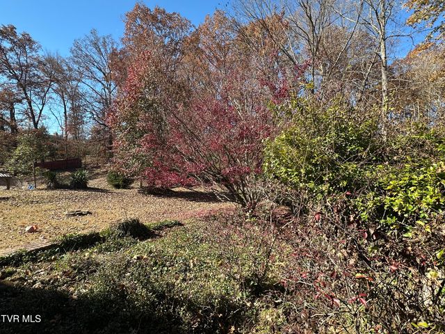 2217 Sheffield Street Street, Kingsport, TN 37660