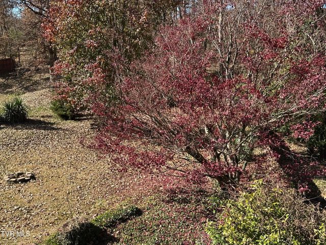 2217 Sheffield Street Street, Kingsport, TN 37660