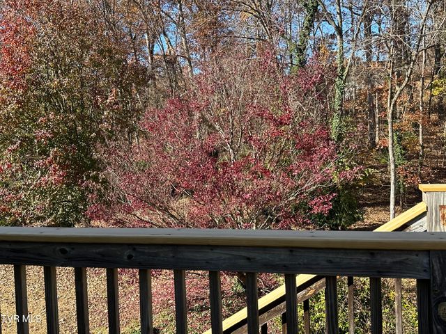 2217 Sheffield Street Street, Kingsport, TN 37660