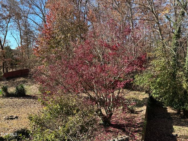 2217 Sheffield Street Street, Kingsport, TN 37660