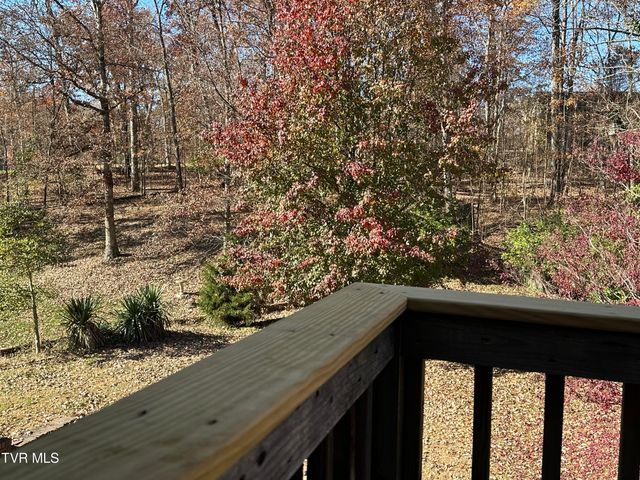 2217 Sheffield Street Street, Kingsport, TN 37660