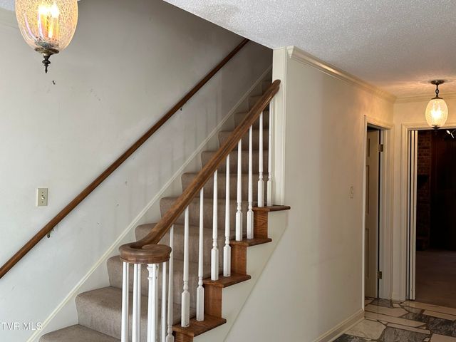 2217 Sheffield Street Street, Kingsport, TN 37660