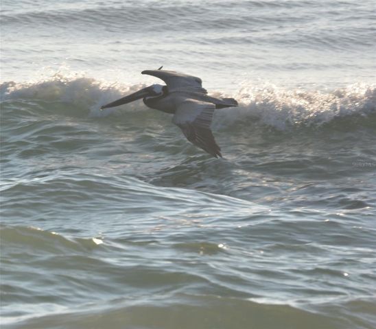 800 CINNAMON BEACH WAY 742, Palm Coast, FL 32137