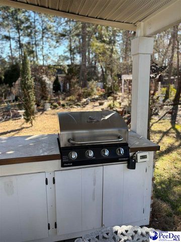 1041 Huntington Dr, Hartsville, SC 29550