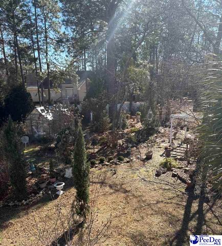 1041 Huntington Dr, Hartsville, SC 29550