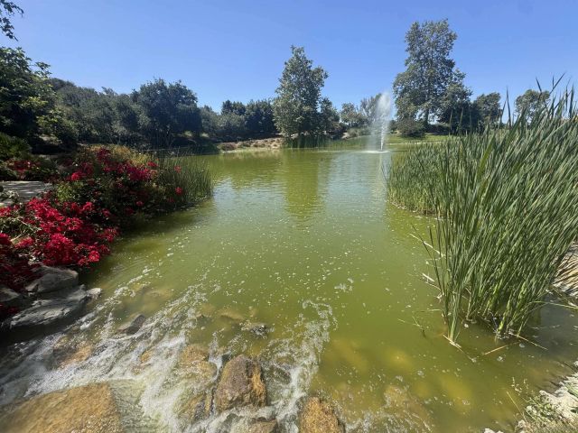 6637 Brookite CT, Carlsbad, CA 92009