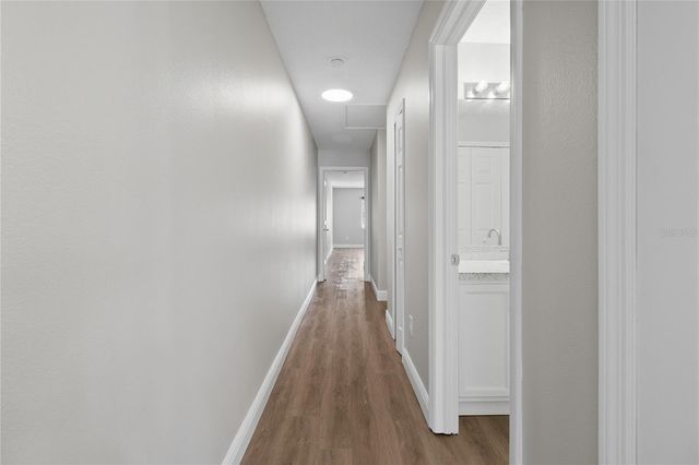 18133 PARADISE POINT DRIVE, Tampa, FL 33647