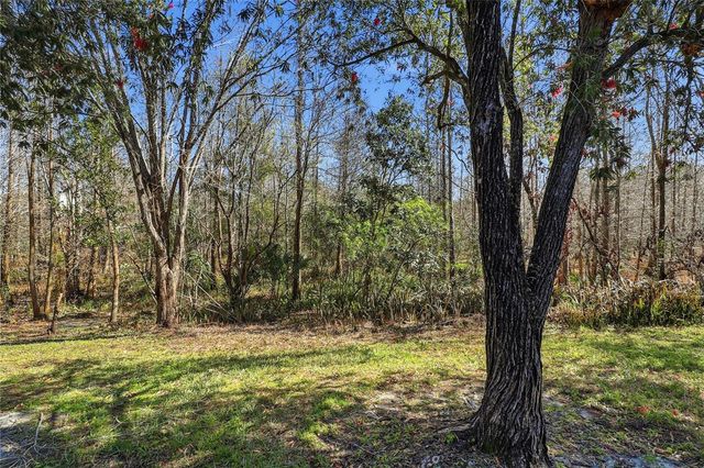 18133 PARADISE POINT DRIVE, Tampa, FL 33647