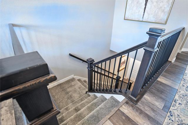 9538 Bear River Street, Littleton, CO 80125