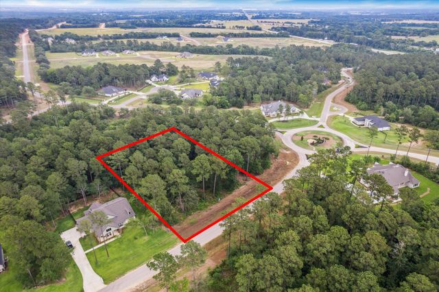 8713 Cedar Meadow Lane, Plantersville, TX 77363