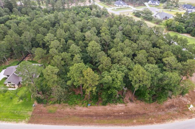 8713 Cedar Meadow Lane, Plantersville, TX 77363
