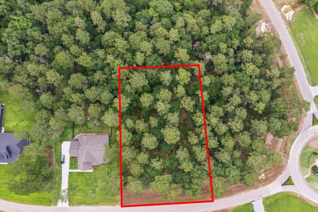 8713 Cedar Meadow Lane, Plantersville, TX 77363