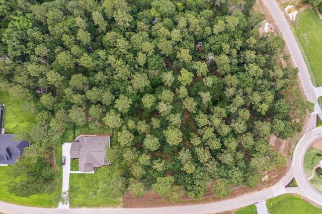 8713 Cedar Meadow Lane, Plantersville, TX 77363