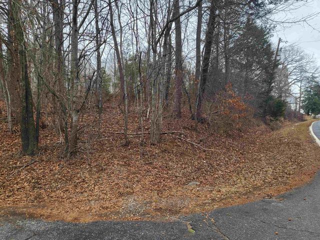 00 Campbell Covered Bridge Road, Landrum, SC 29356