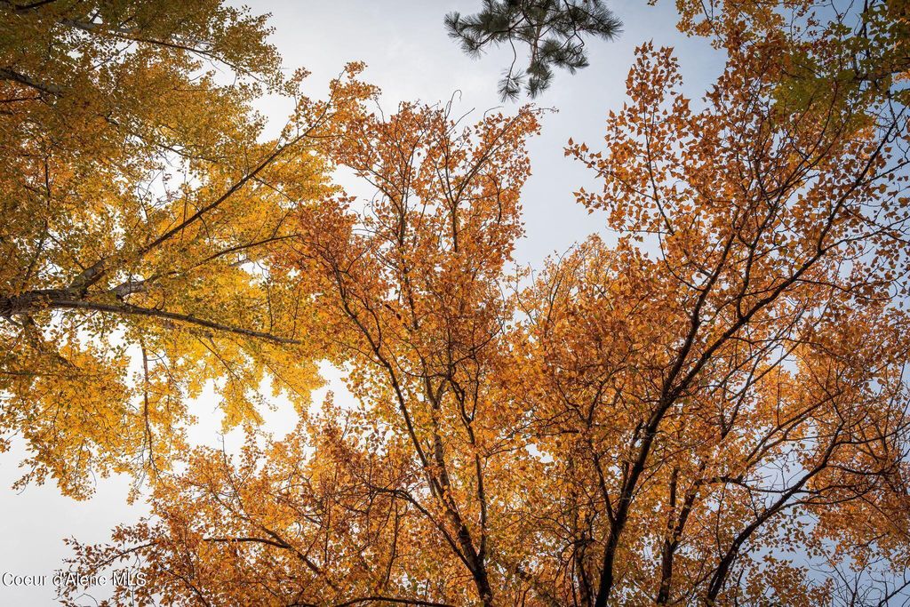 802 Sandpoint Ave, #8305, Sandpoint, ID 83864 photo 55