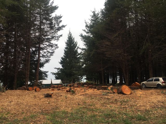 16 Bambi Drive, Shelter Cove, CA 95589