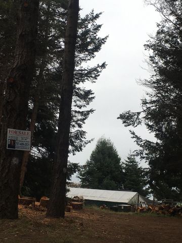 16 Bambi Drive, Shelter Cove, CA 95589