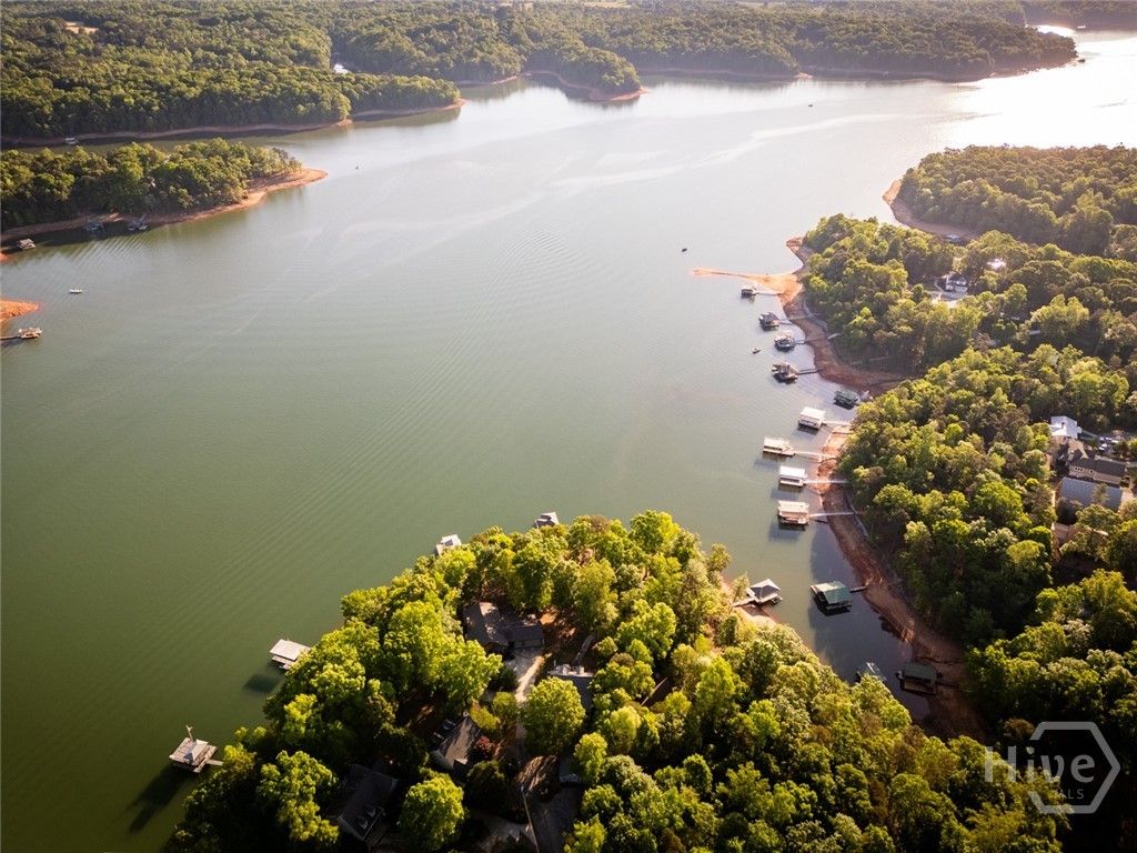 Image 65 of property listing at 194 Sugar Cane Drive, Hartwell, GA 30643