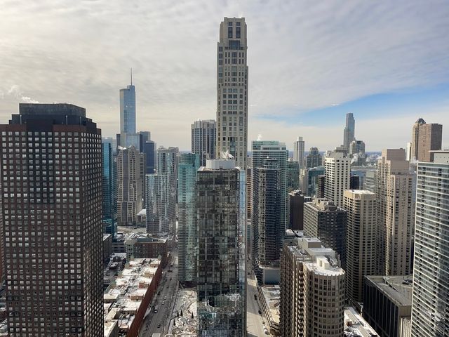 505 N Lake Shore Drive 5701, Chicago, IL 60611