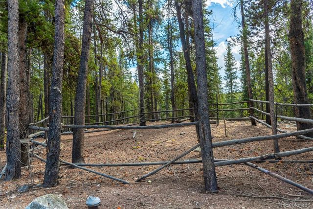 5 Quakie Court, Fairplay, CO 80440