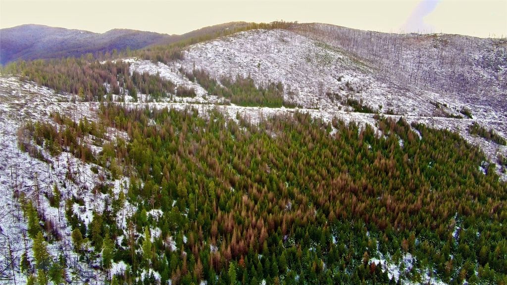 0 W Fork Combest Creek Road, Plains, MT 59859 photo 28