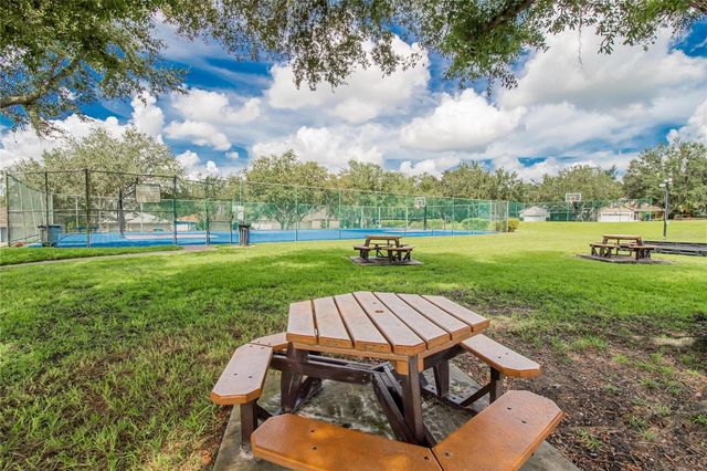 3003 SUMMER CRUISE DRIVE, Valrico, FL 33594