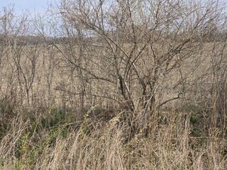 0 Weber (Lot B) Road, Richmond Twp, MI 48063