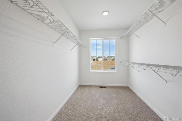 4666 Sugar Beet Street, Johnstown, CO 80534