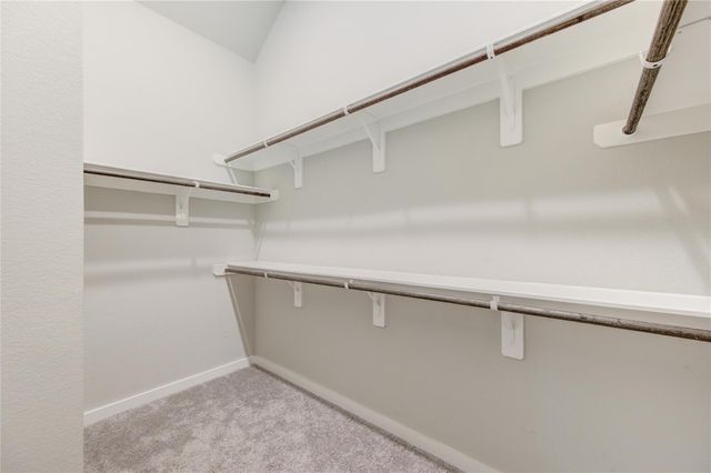 20807 Shawbrook Drive, Spring, TX 77379