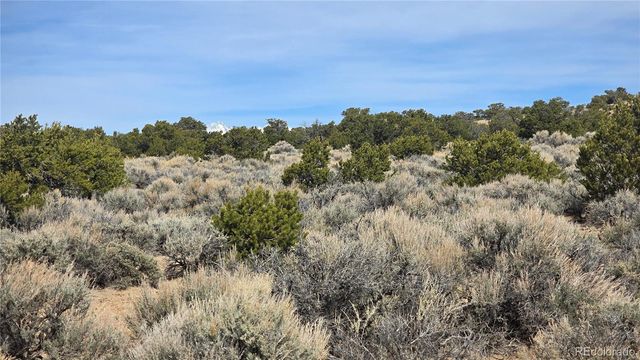 Lot 1075 Sylvia Road, Fort Garland, CO 81133