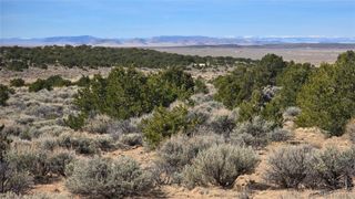 Lot 1075 Sylvia Road, Fort Garland, CO 81133