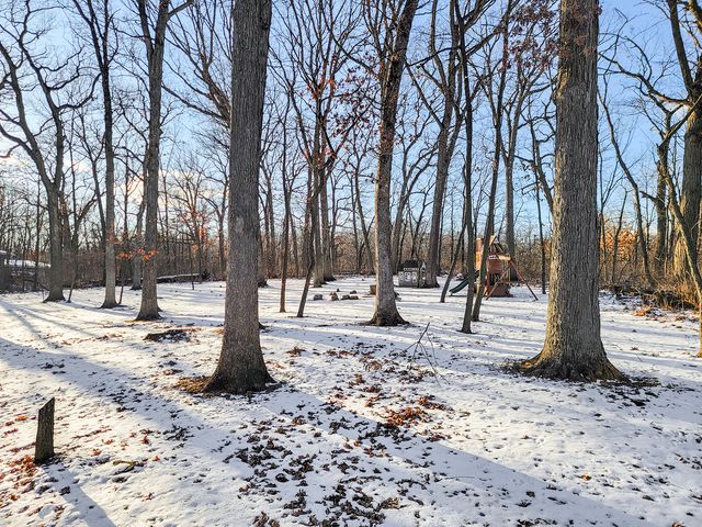 12316 S 82nd Avenue, Palos Park, IL 60464