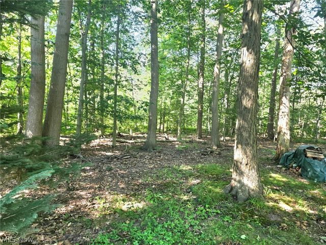 7415 Avon Lane, Chesterland, OH 44026