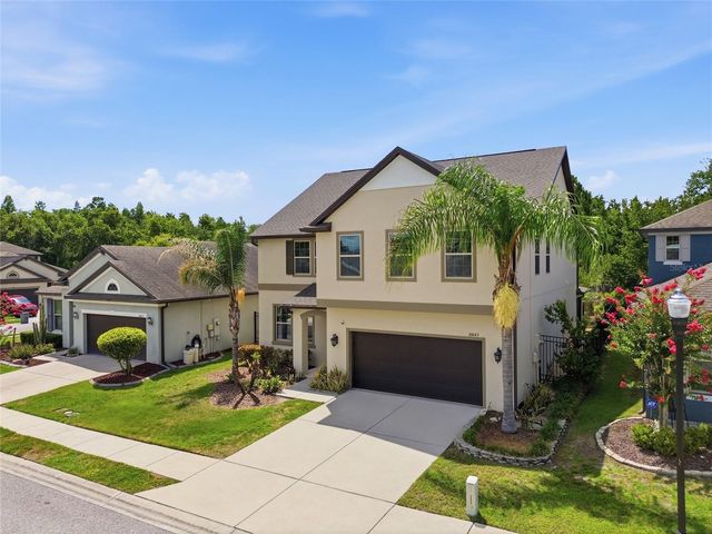 30643 WALKER CUP PLACE, Wesley Chapel, FL 33543
