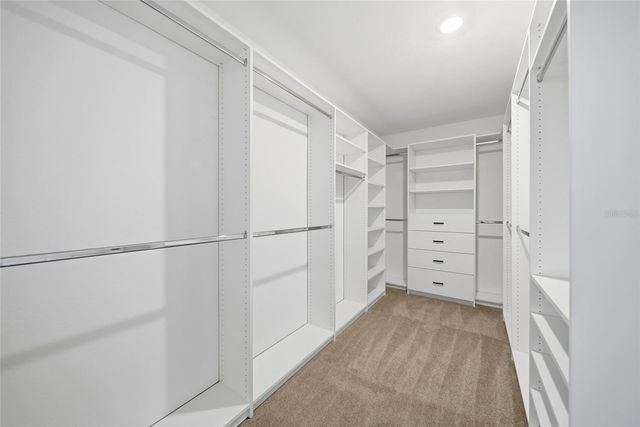 30643 WALKER CUP PLACE, Wesley Chapel, FL 33543