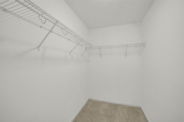 8167 Wooded Terrace Lane, Humble, TX 77338