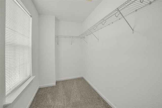 8167 Wooded Terrace Lane, Humble, TX 77338