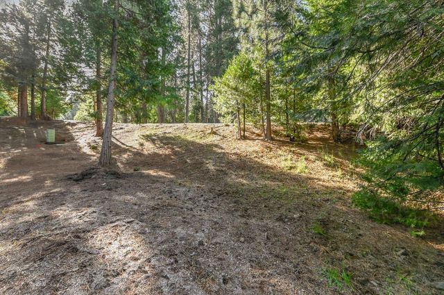 26321 Golf Links Dr, Pioneer, CA 95666