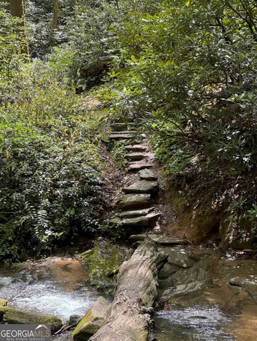 812 Covecrest Drive, Tiger, GA 30576