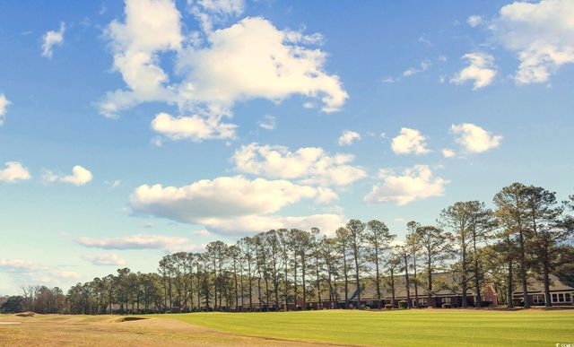 1043 Yellow Jasmine Dr., Longs, SC 29568