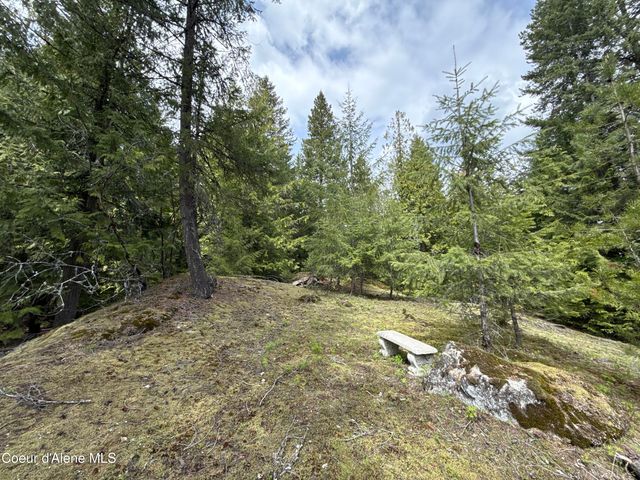 1094 Spirit Wolf TRL, Sandpoint, ID 83864
