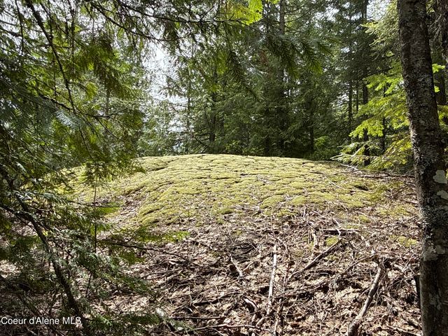 1094 Spirit Wolf TRL, Sandpoint, ID 83864
