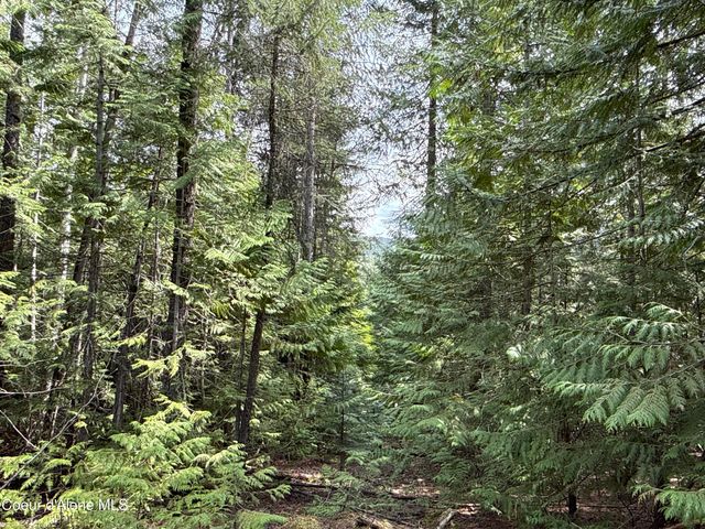 1094 Spirit Wolf TRL, Sandpoint, ID 83864