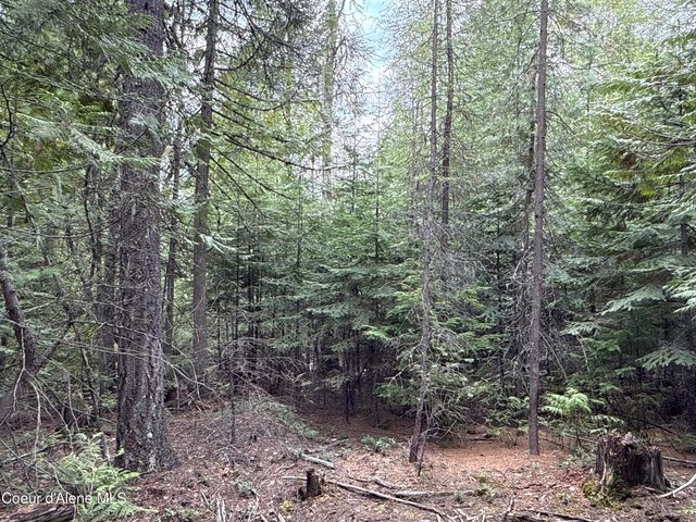 1094 Spirit Wolf TRL, Sandpoint, ID 83864