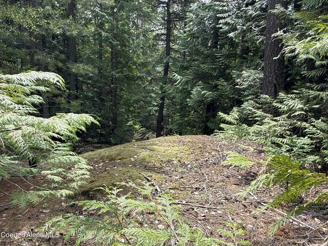 1094 Spirit Wolf TRL, Sandpoint, ID 83864