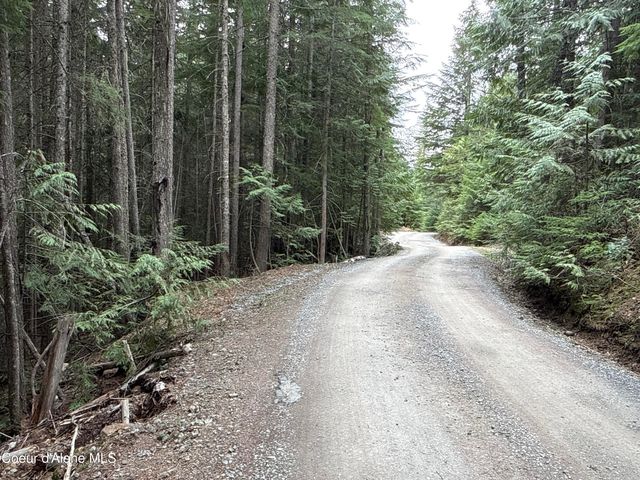 1094 Spirit Wolf TRL, Sandpoint, ID 83864