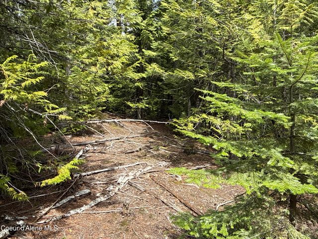 1094 Spirit Wolf TRL, Sandpoint, ID 83864