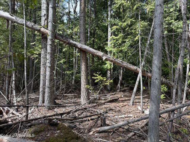 1094 Spirit Wolf TRL, Sandpoint, ID 83864