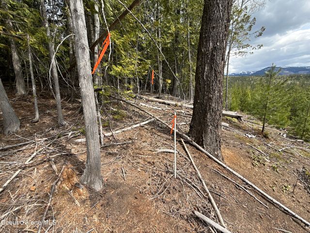1094 Spirit Wolf TRL, Sandpoint, ID 83864